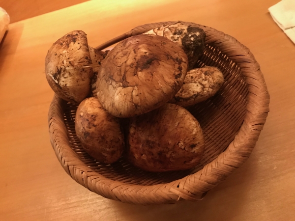 メキシコ産松茸