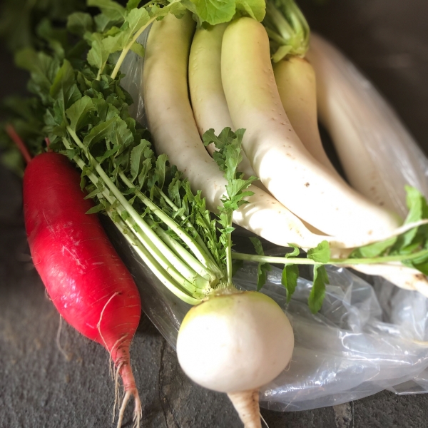 冬野菜